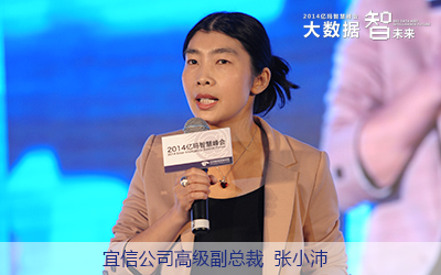 宜信公司高級副總裁張小沛 宜信公司高級副總裁張小沛